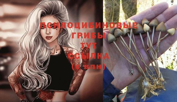 jwh Каменск-Шахтинский