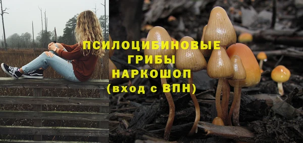 jwh Каменск-Шахтинский